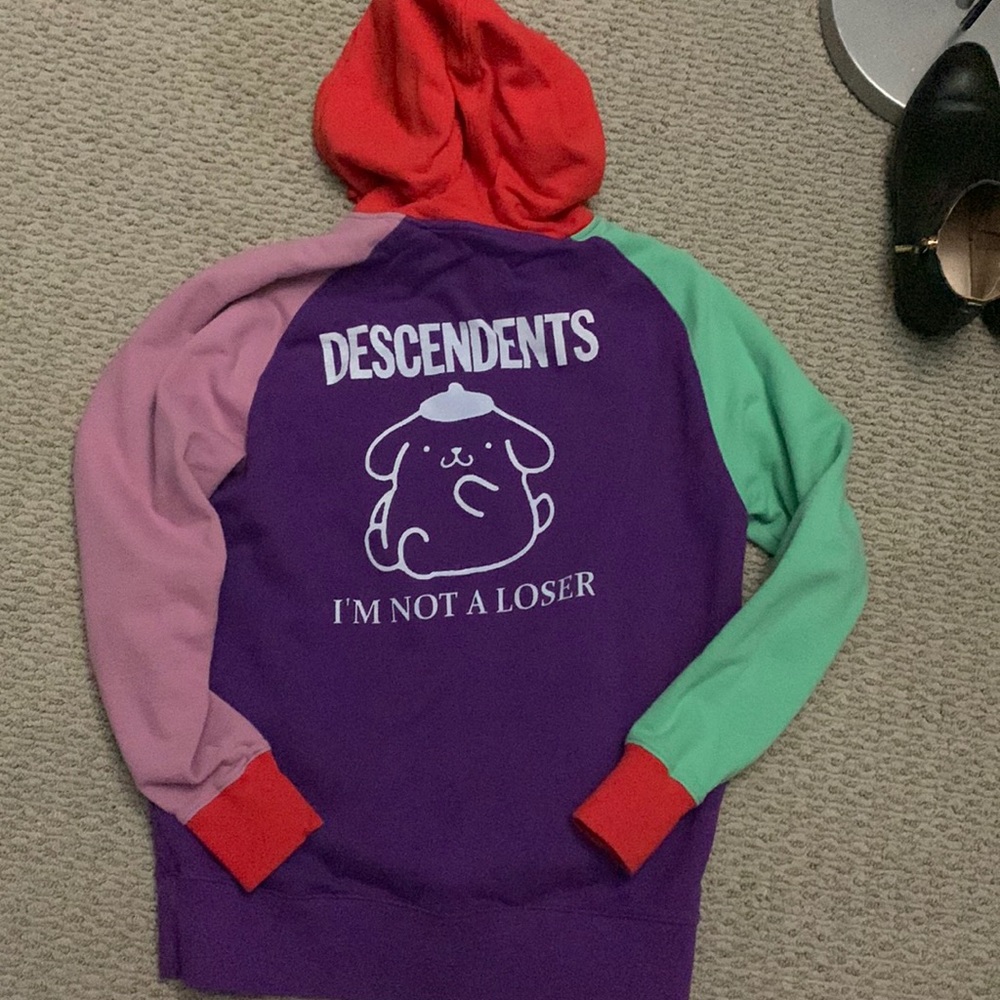 RARE Descendents x Sanrio color block hoodie